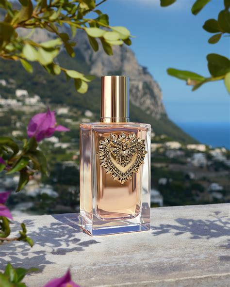 dolce gabbana kay